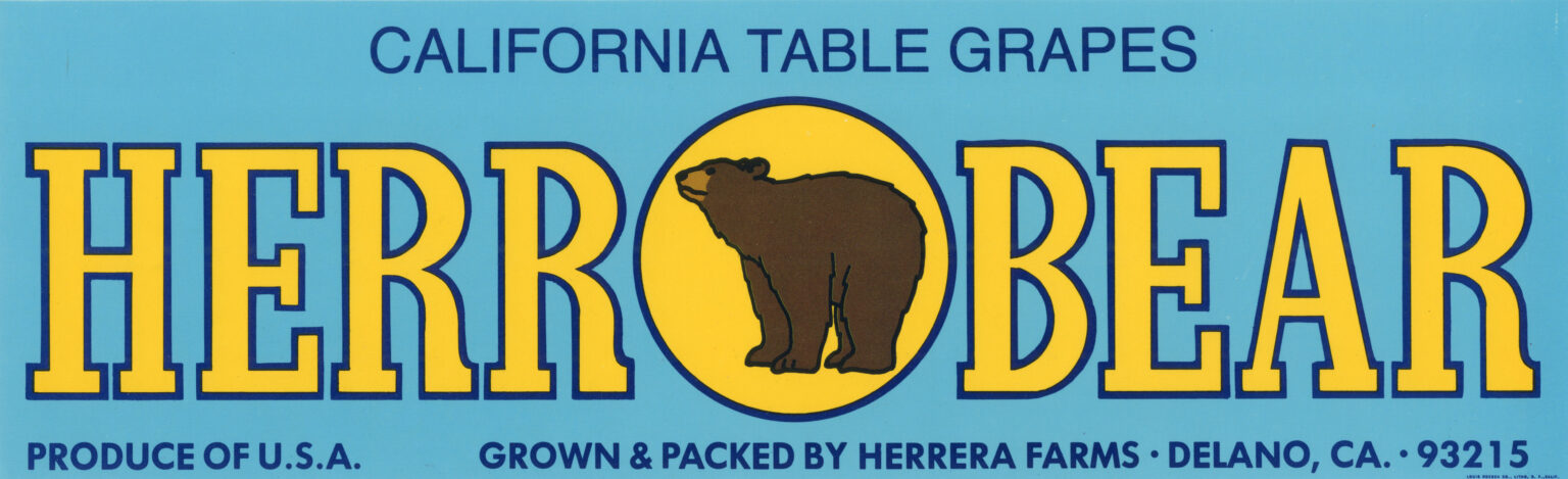 Herr Bear Herr Bear